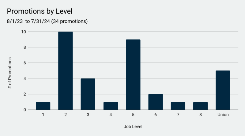 Bar graph showing promotions by job level.